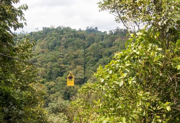 mindo-tour-ecuador